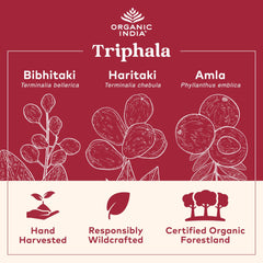 Comparación de escala con envase de 90 cápsulas de ORGANIC INDIA para duración