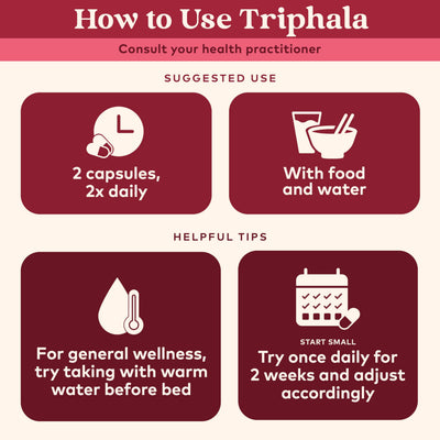Amla fruit and powder used in Triphala, highlighting antioxidant support from ORGANIC INDIA