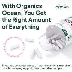Polvo de magnesio triturado mostrando la textura pura de Organics Ocean y alta calidad