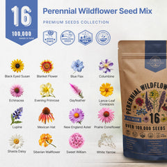 Organo Republic semillas germinando en maceta, beneficio: siembra fácil interior