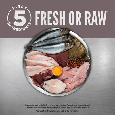 ORIJEN ingredientes frescos pollo y arenque, rico en proteína
