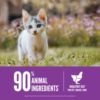 ORIJEN kitten eating from bowl demonstrating palatable, kitten-friendly formula