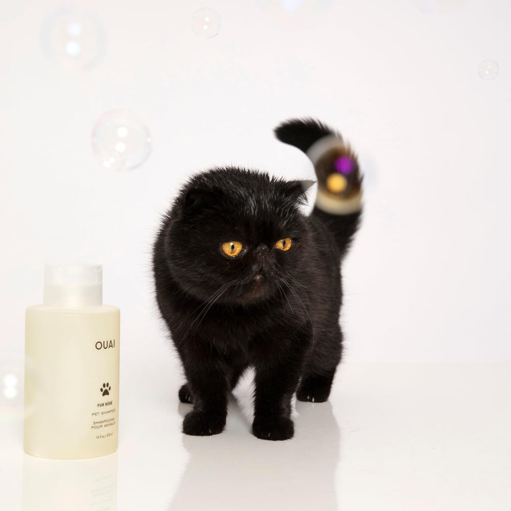 OUAI bottle on bathroom shelf in lifestyle scene conveying salon-at-home grooming benefit