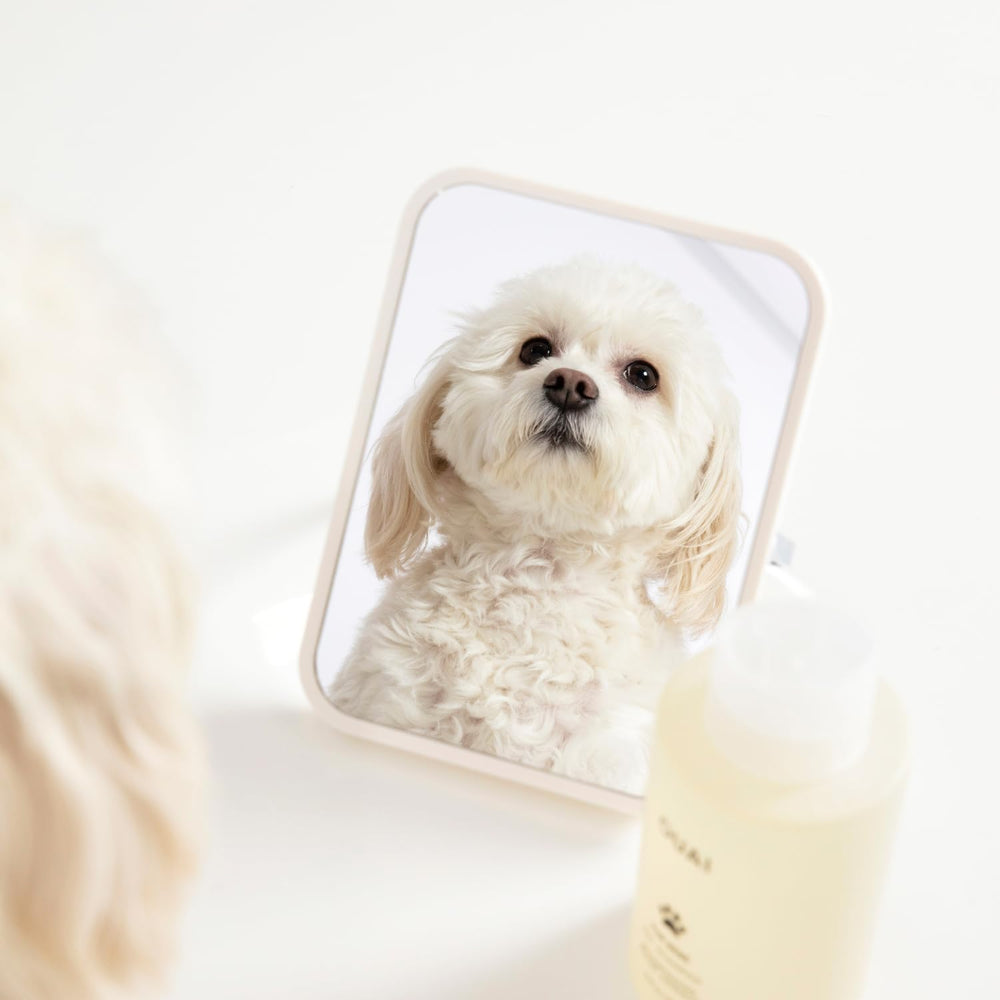 OUAI used on cat during bath showing calming application and coat care benefit