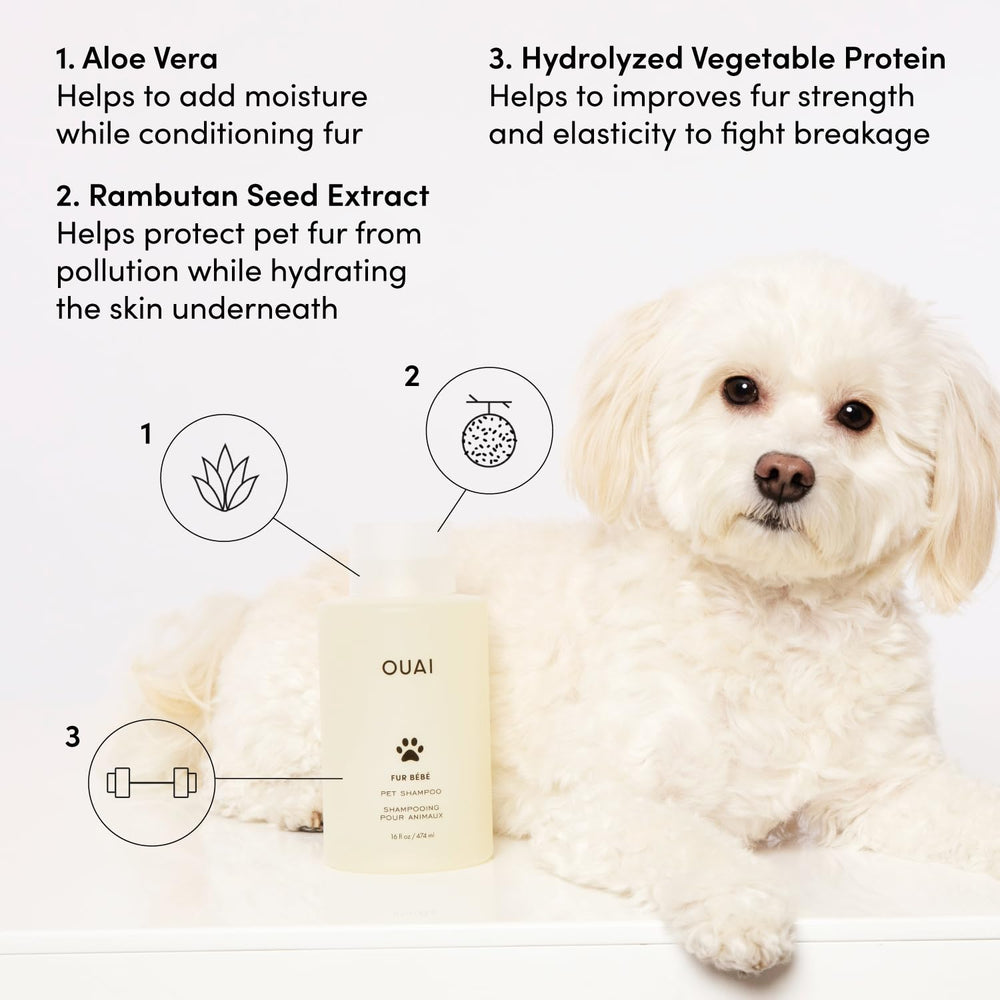 OUAI shampoo lather texture highlighting gentle foam for soft coat benefit