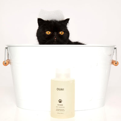 OUAI 16 fl oz bottle next to common items for scale, showing travel-friendly size benefit