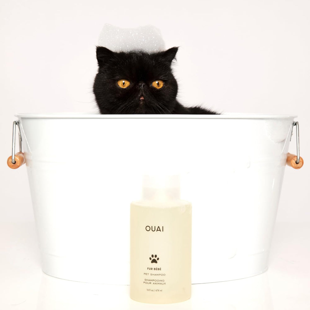 OUAI 16 fl oz bottle next to common items for scale, showing travel-friendly size benefit