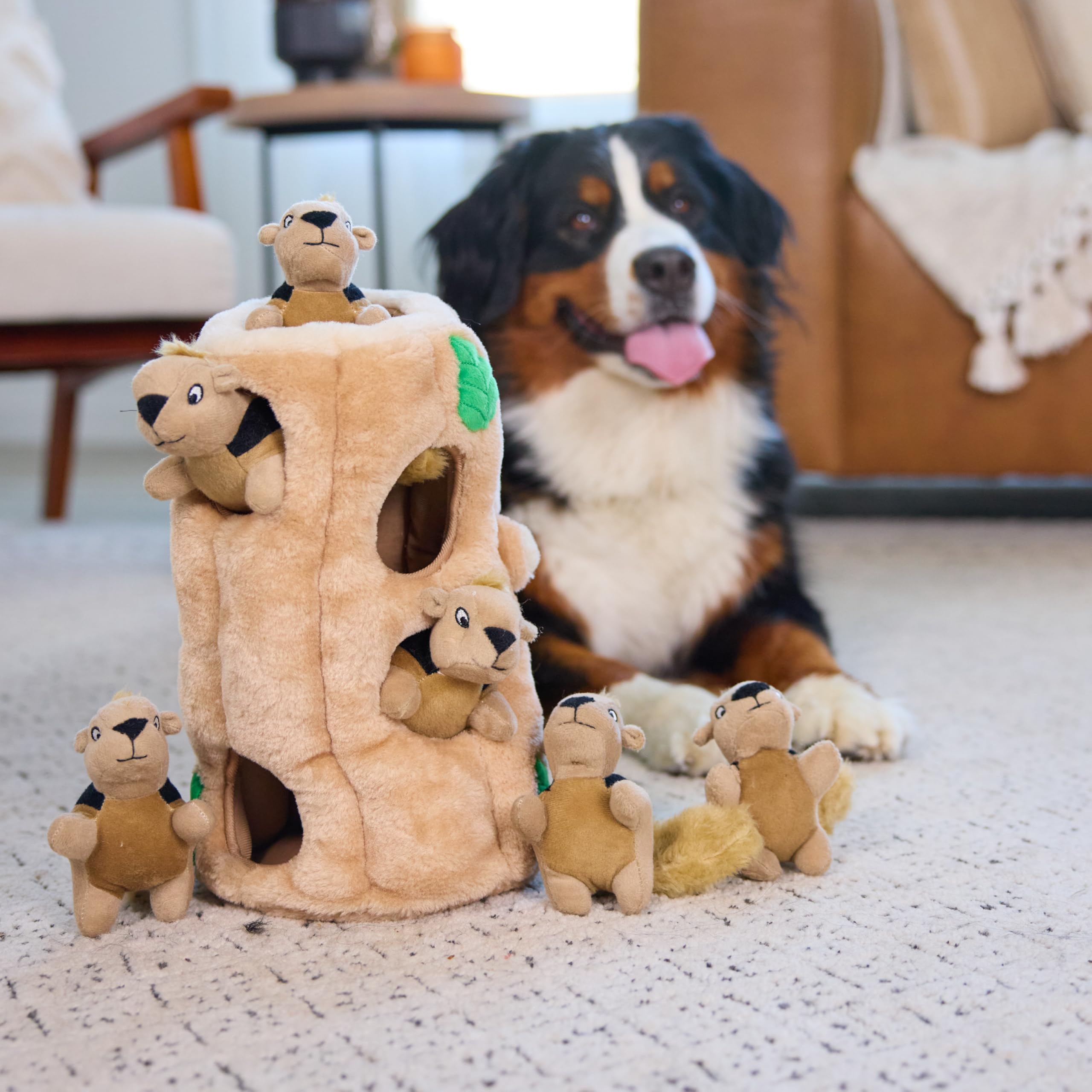 Outward Hound conjunto de ardillas para variedad y juego prolongado