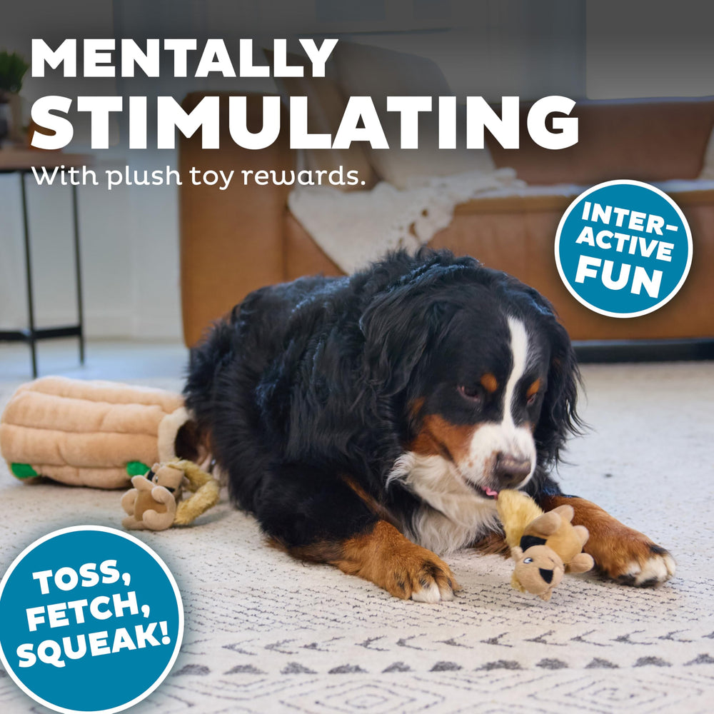 Outward Hound perro sacando ardilla, entretenimiento y ejercicio mental