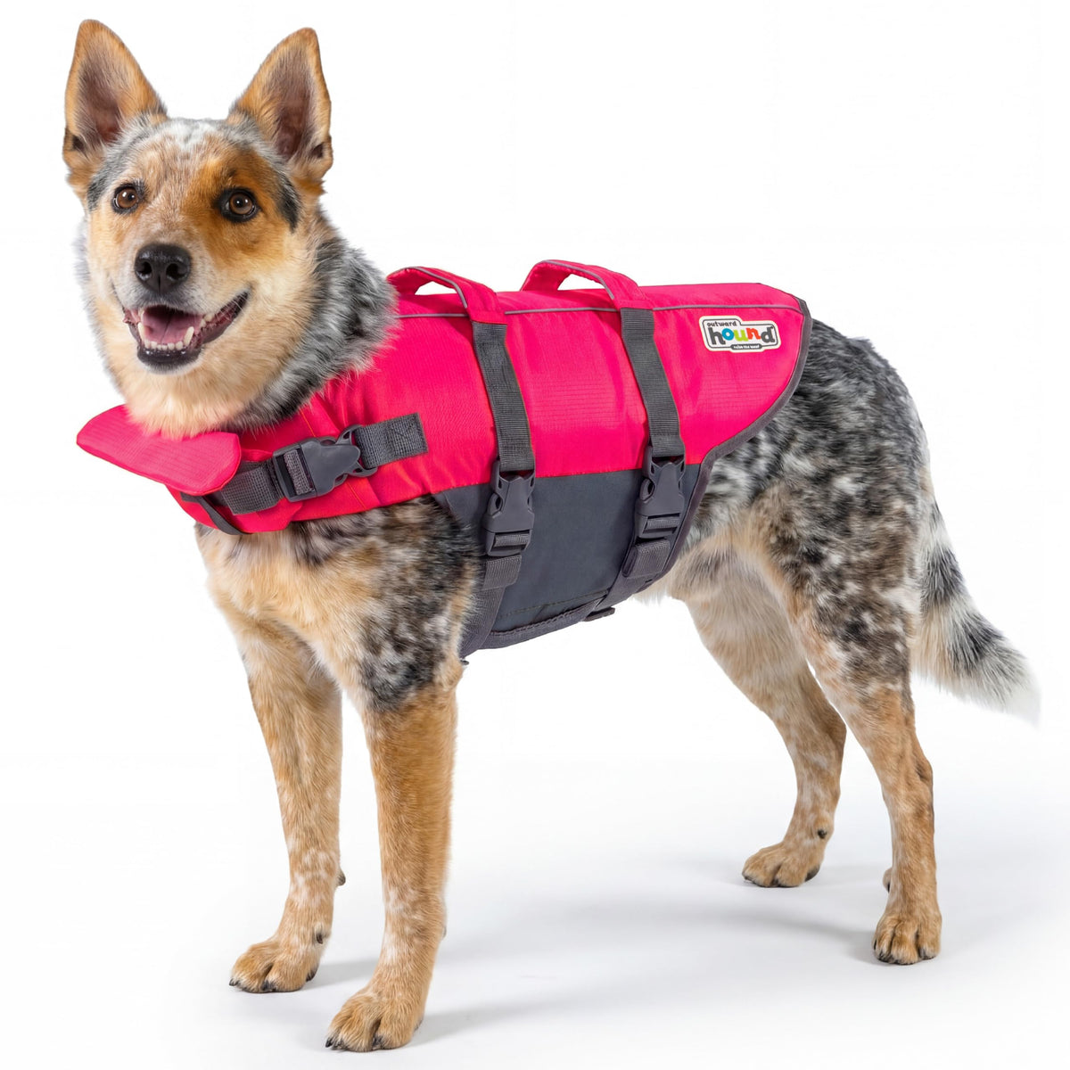 Outward Hound chaleco frontal mostrando ajuste seguro y visibilidad