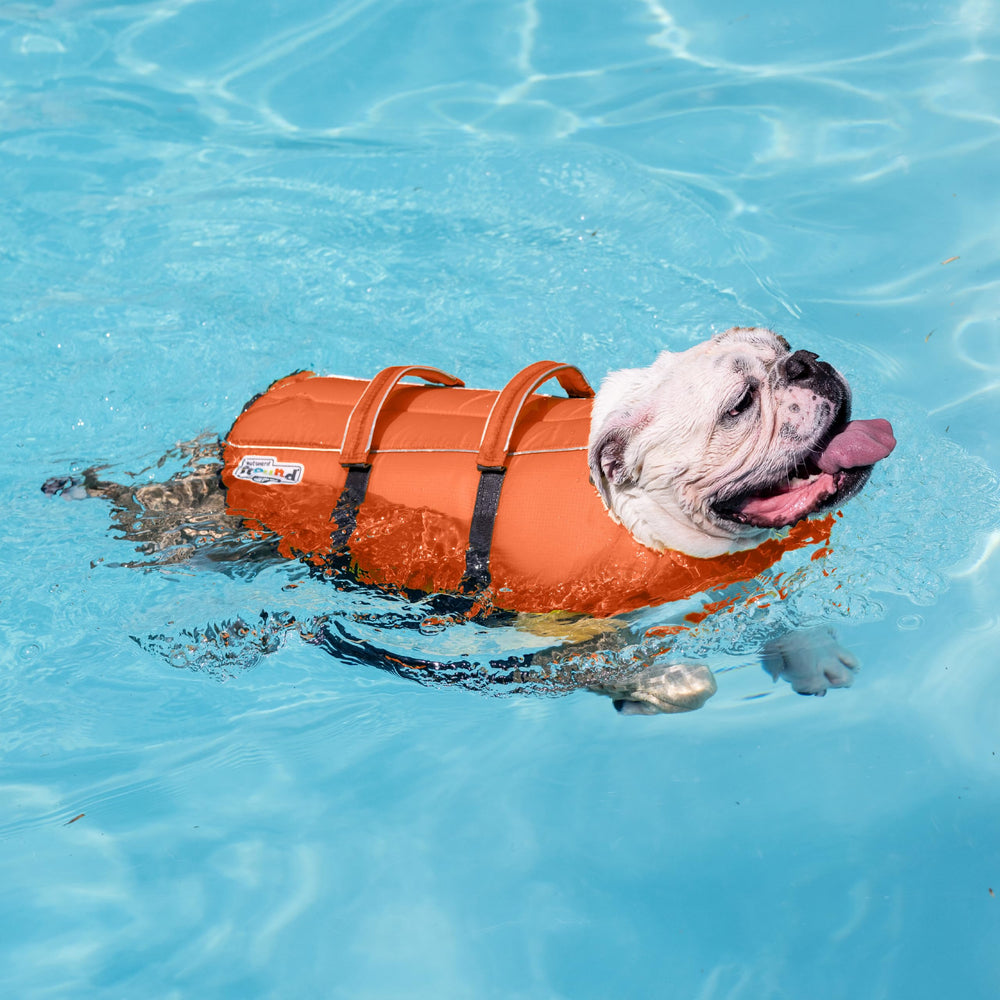 Outward Hound bandas reflectantes mejorando la visibilidad en poca luz