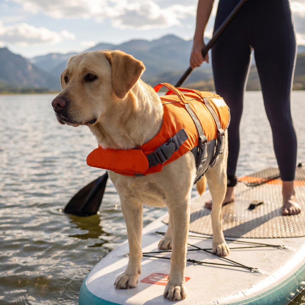 Outward Hound uso en playa, seguridad y disfrute familiar en el agua