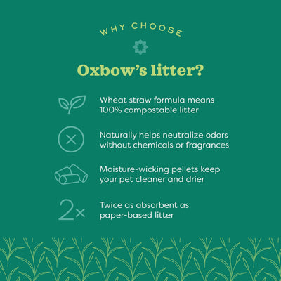 Oxbow Eco Straw close-up of pellets illustrating absorbent texture benefits