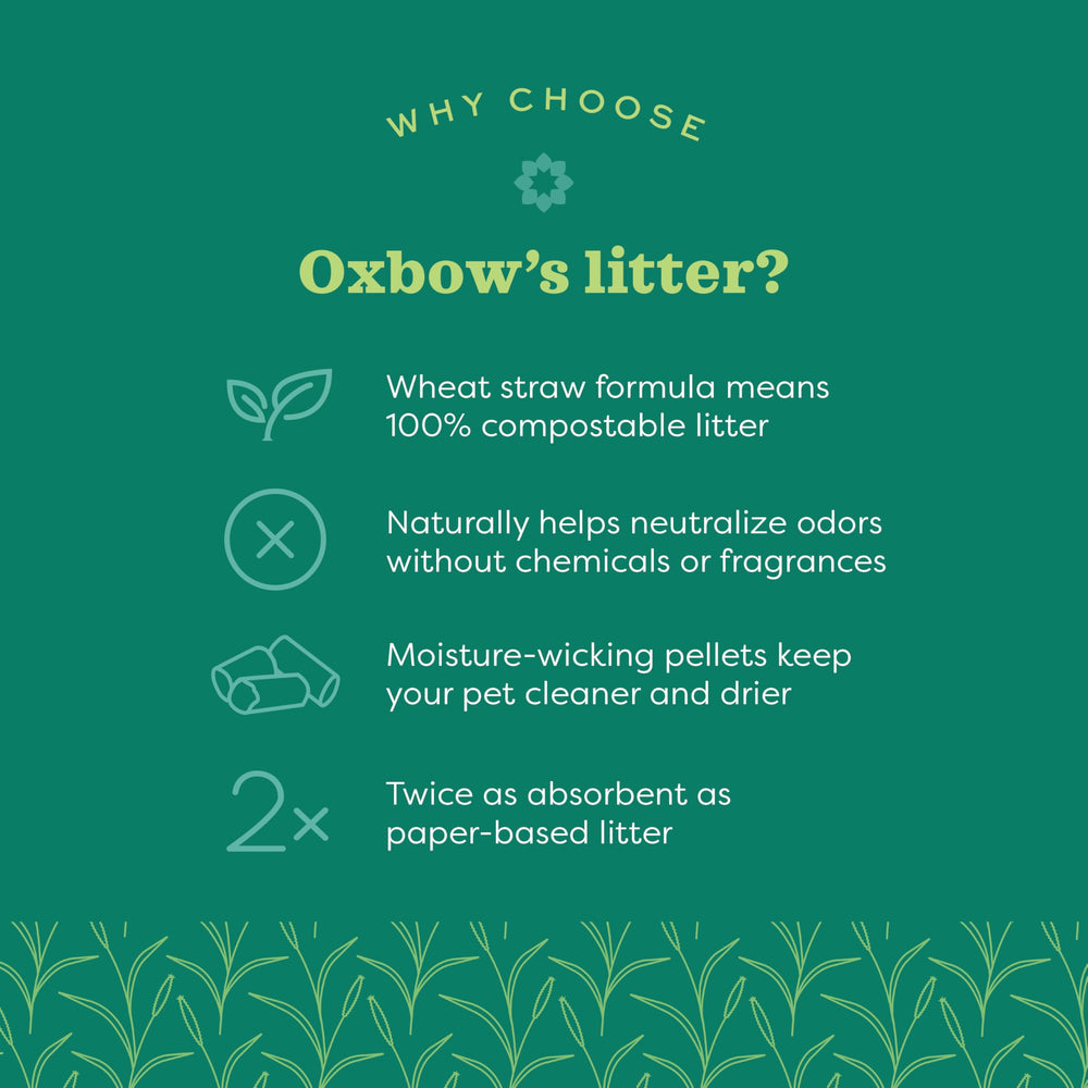 Oxbow Eco Straw close-up of pellets illustrating absorbent texture benefits