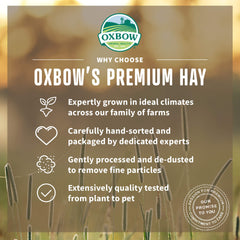 Oxbow closeup of orchard grass blades highlighting soft leafy greens for preference