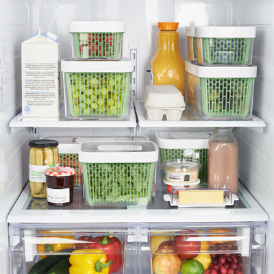 OXO GreenSaver detalle del filtro de carbón activo que prolonga frescura
