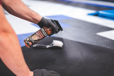 P & S PROFESSIONAL DETAIL PRODUCTS cleaning living room rug, versatile home and auto cleaning