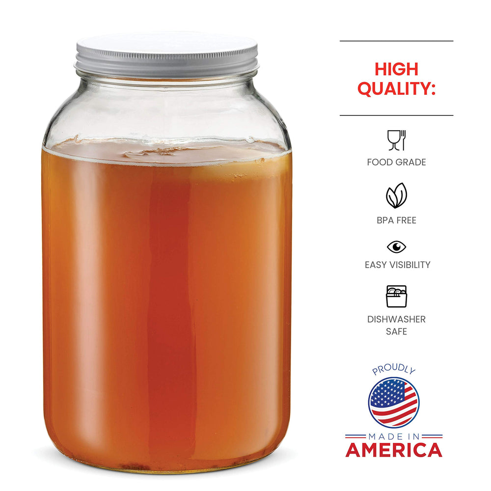 Paksh Novelty tarro fermentando kombucha, control visual del proceso