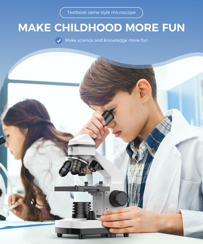 PalliPartners in classroom lifestyle scene enabling group learning and demonstrations