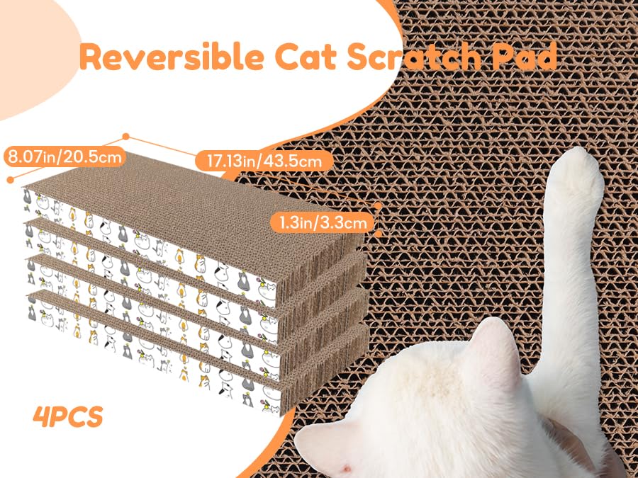 PatiencET comparación de tamaño junto a un gato para visualización de escala