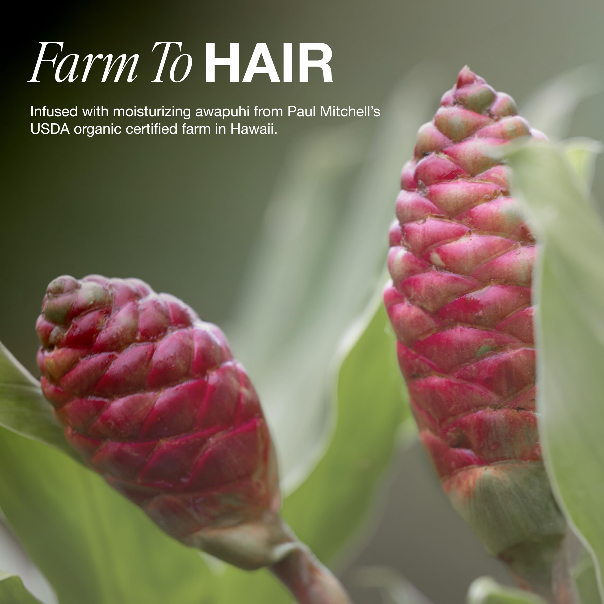 Paul Mitchell awapuhi natural ingrediente que nutre y mejora la manejabilidad