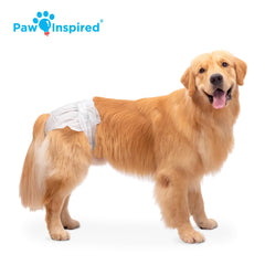 Paw Inspired comparación de tamaño para mostrar escala y cobertura XL