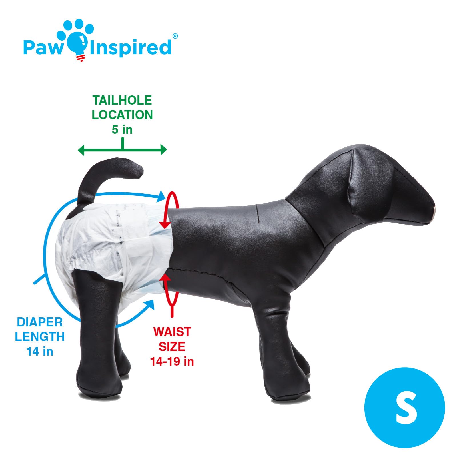 Paw Inspired comparación de tamaño con mano para visualizar escala del pañal