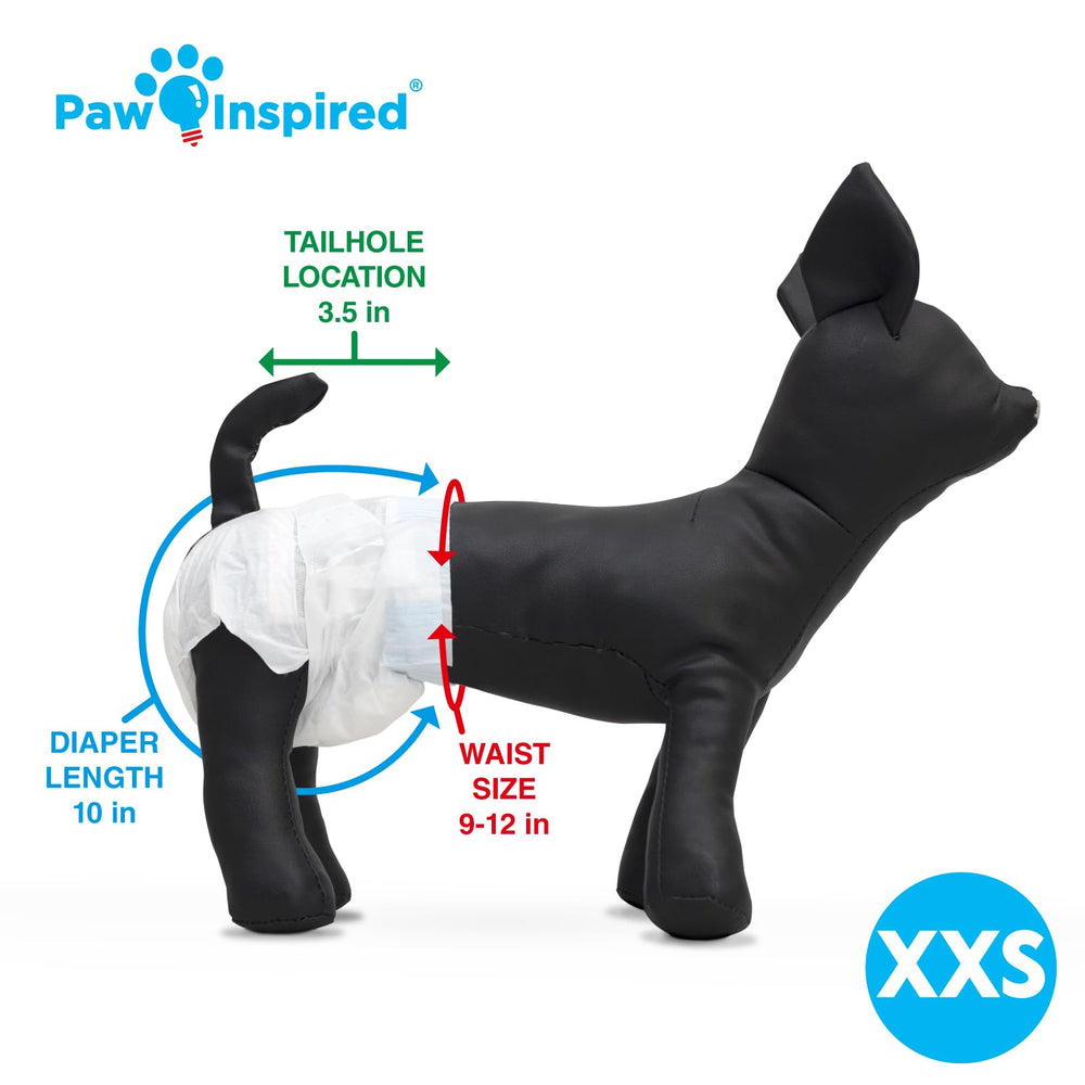 Paw Inspired comparación de talla XXS con una regla para ajuste preciso