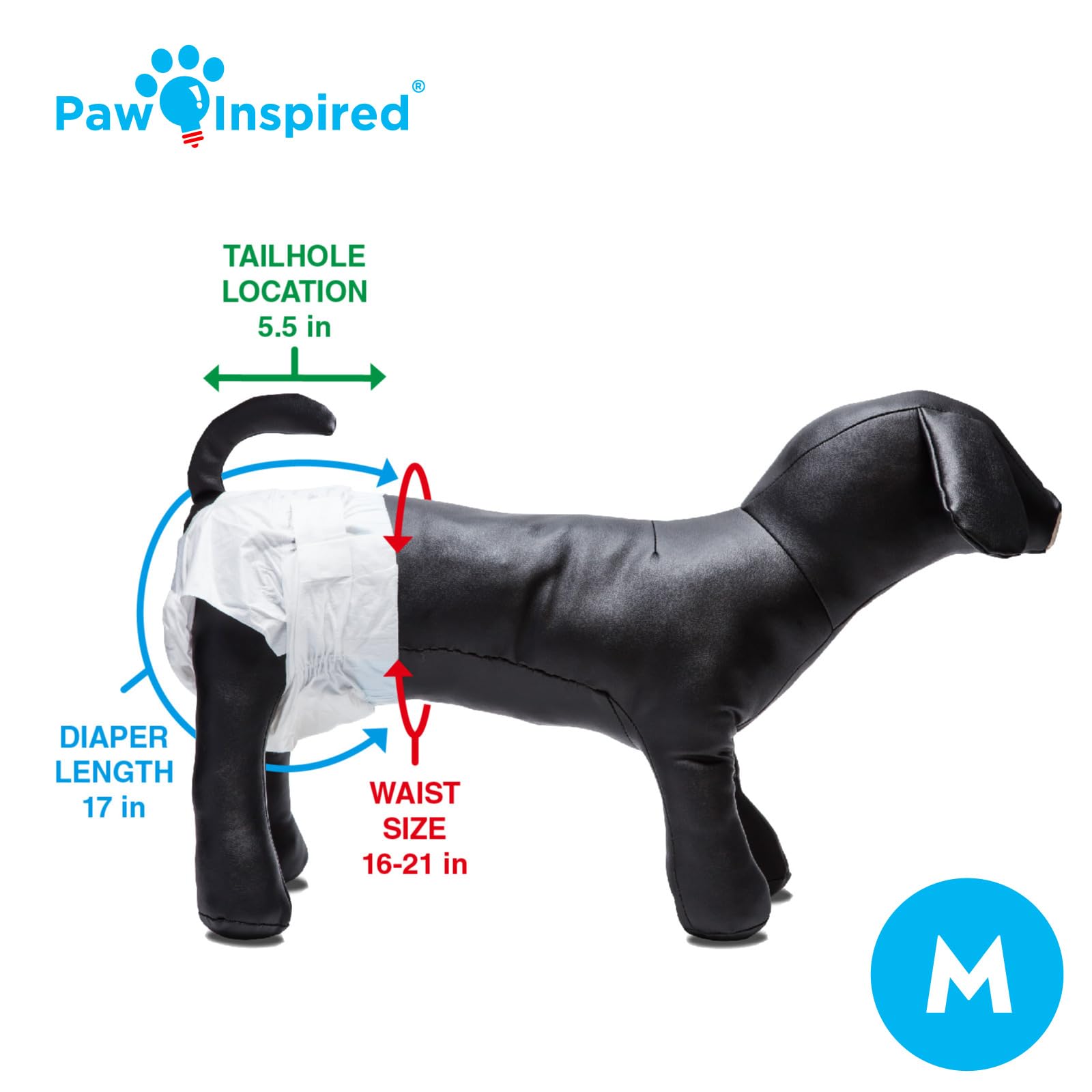 Paw Inspired pañal sobre regla para comparar tamaño y garantizar elección correcta