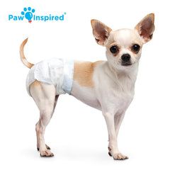 Paw Inspired en perra toy usando pañal cómodo y antifuaga durante actividad
