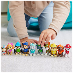 Paw Patrol primer plano de textura realista que añade realismo