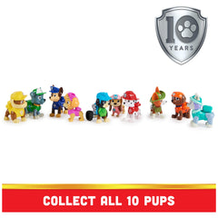 Paw Patrol plano completo con todas las figuras listo para misiones