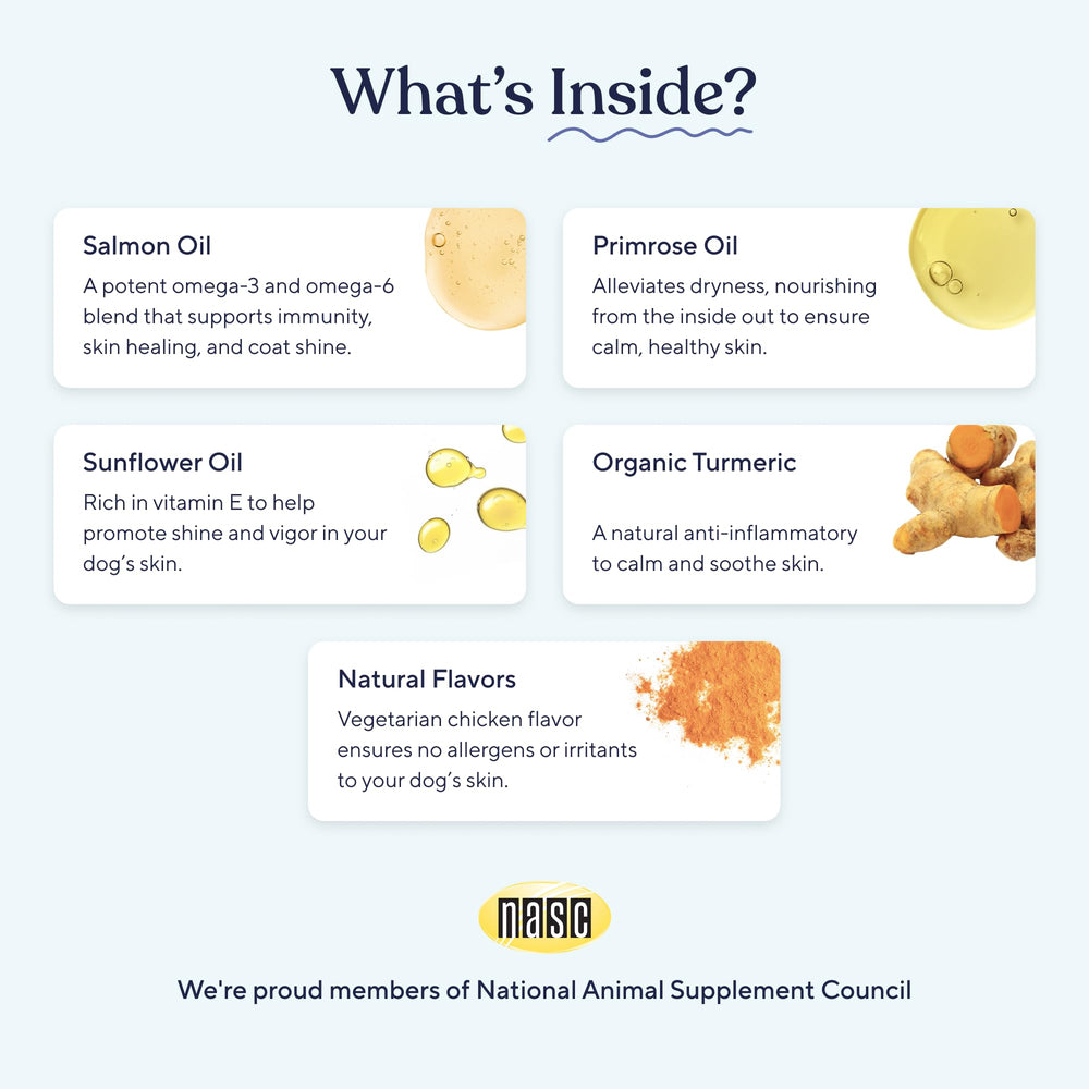 Dog happily eating a Pawfy chew demonstrating easy acceptance