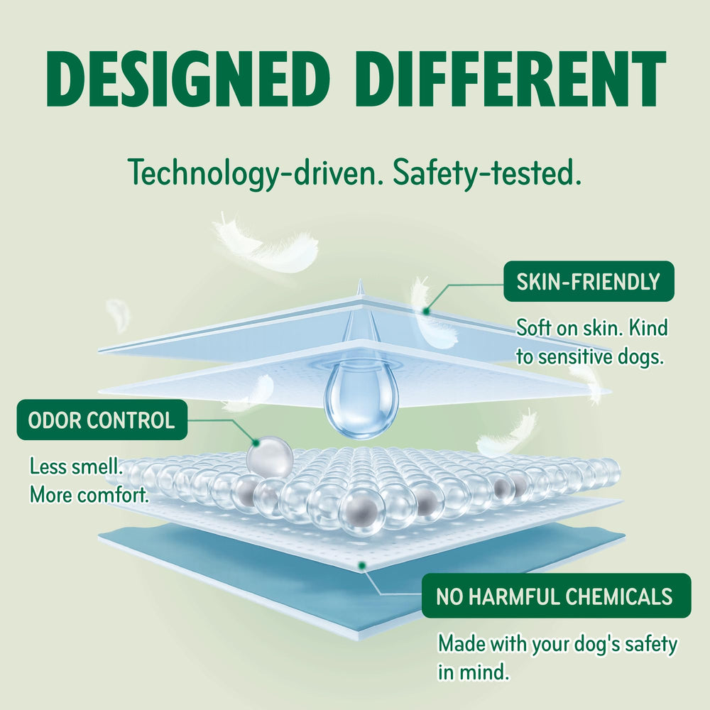 PAWPANG odor control layer graphic illustrating fresher home environment