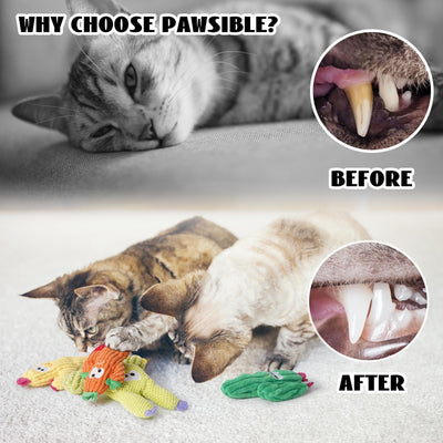 Pawsible comparación de tamaño en mano, ideal para mordisqueo y agarre seguro