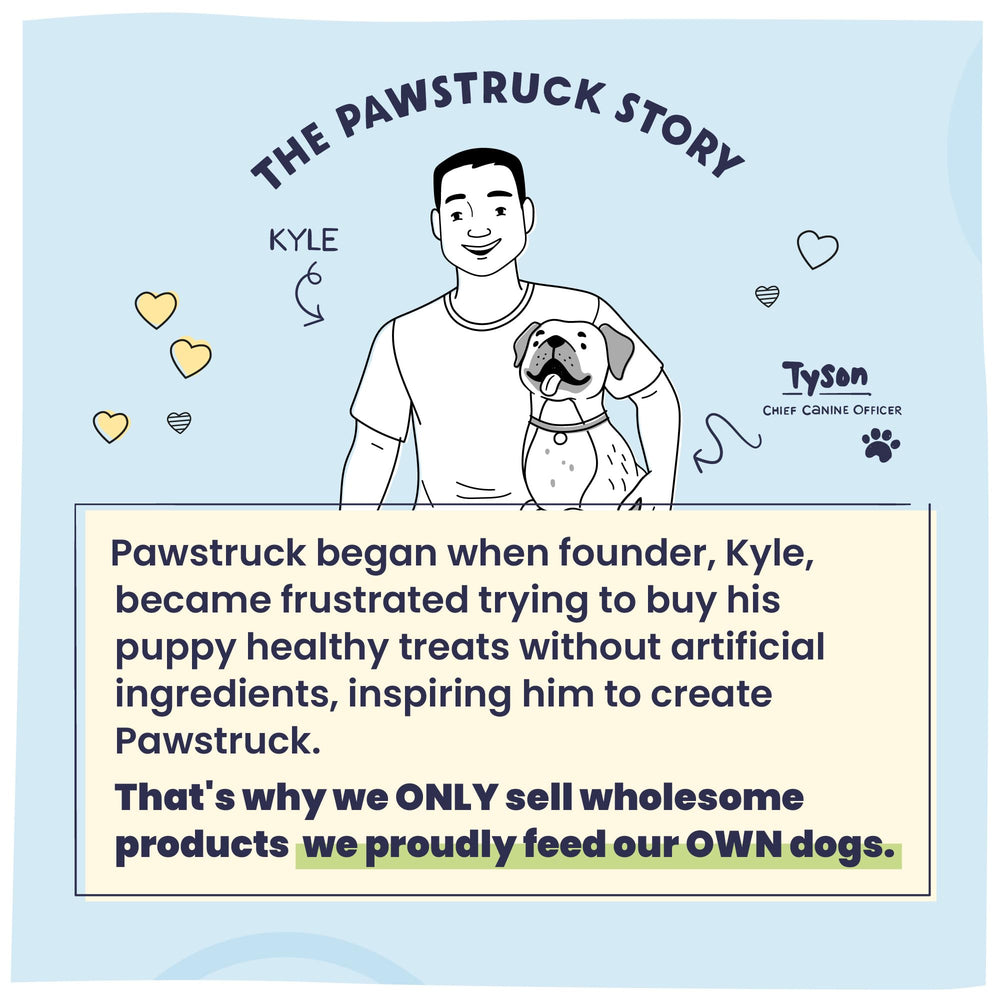 Pawstruck ambiente casero mostrando uso como recompensa diaria