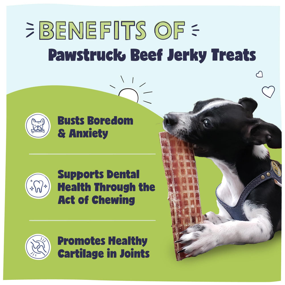 Pawstruck close-up of jerky texture highlighting chewy durability