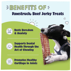 Pawstruck close-up of jerky texture highlighting chewy durability