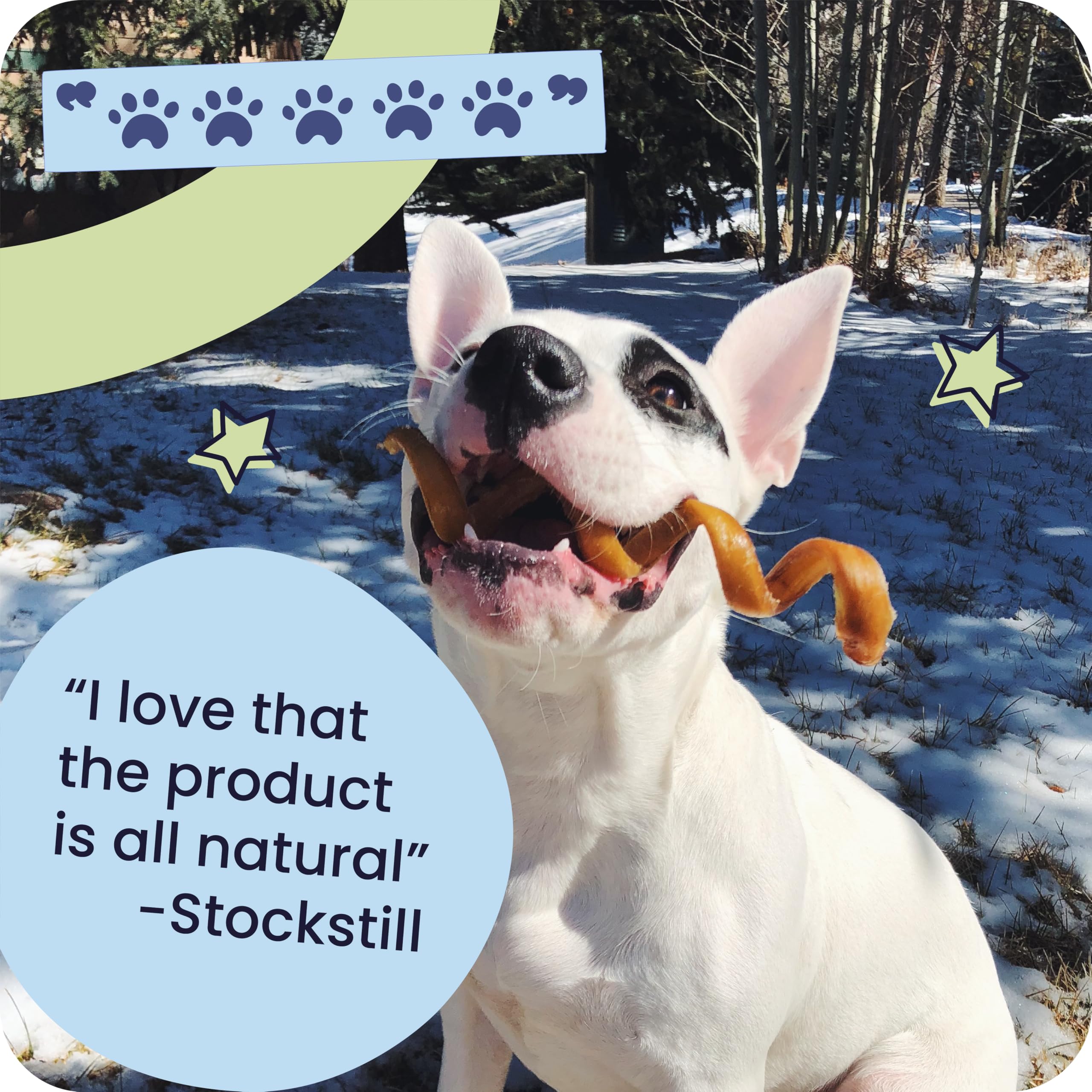 Pawstruck chew enjoyed by a happy dog illustrating enrichment benefit