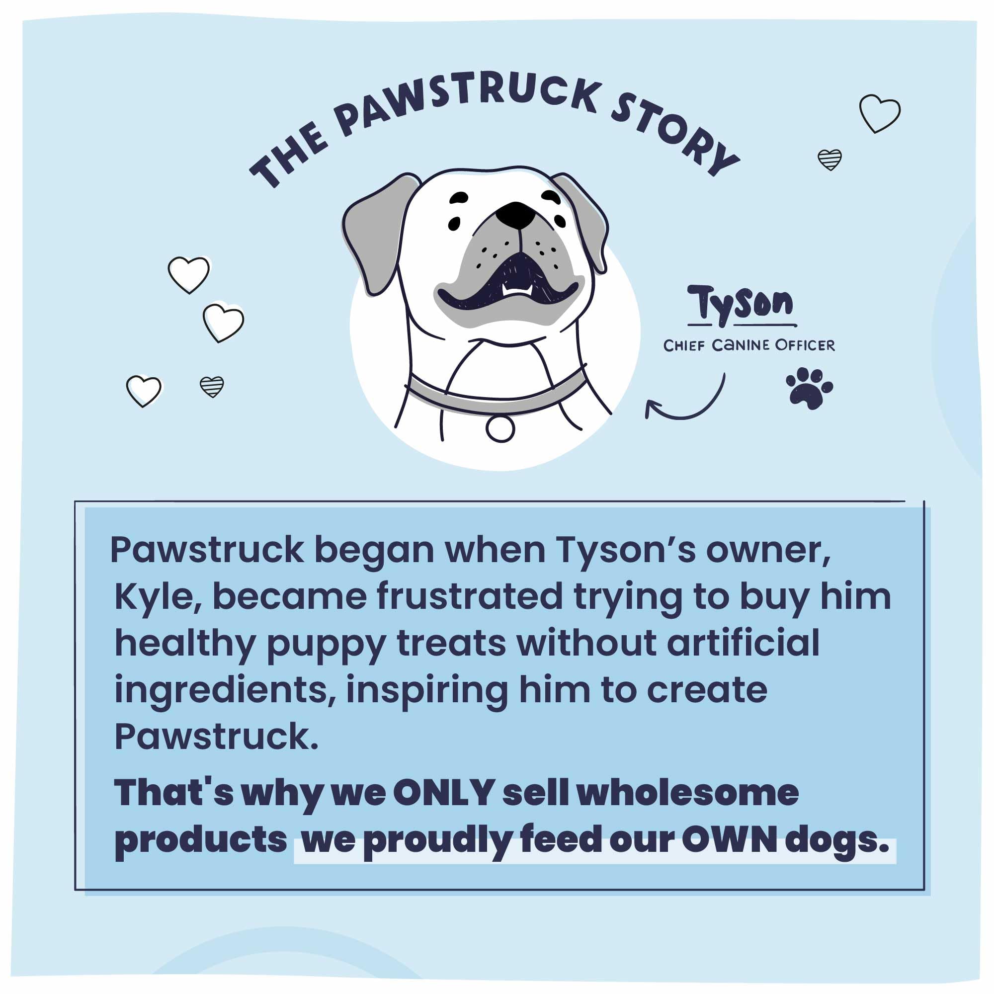 Pawstruck huesos en ambiente doméstico, complemento saludable y entretenido