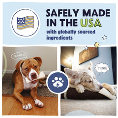 Pawstruck hueso en mano para comparar escala y elegir tamaño correcto