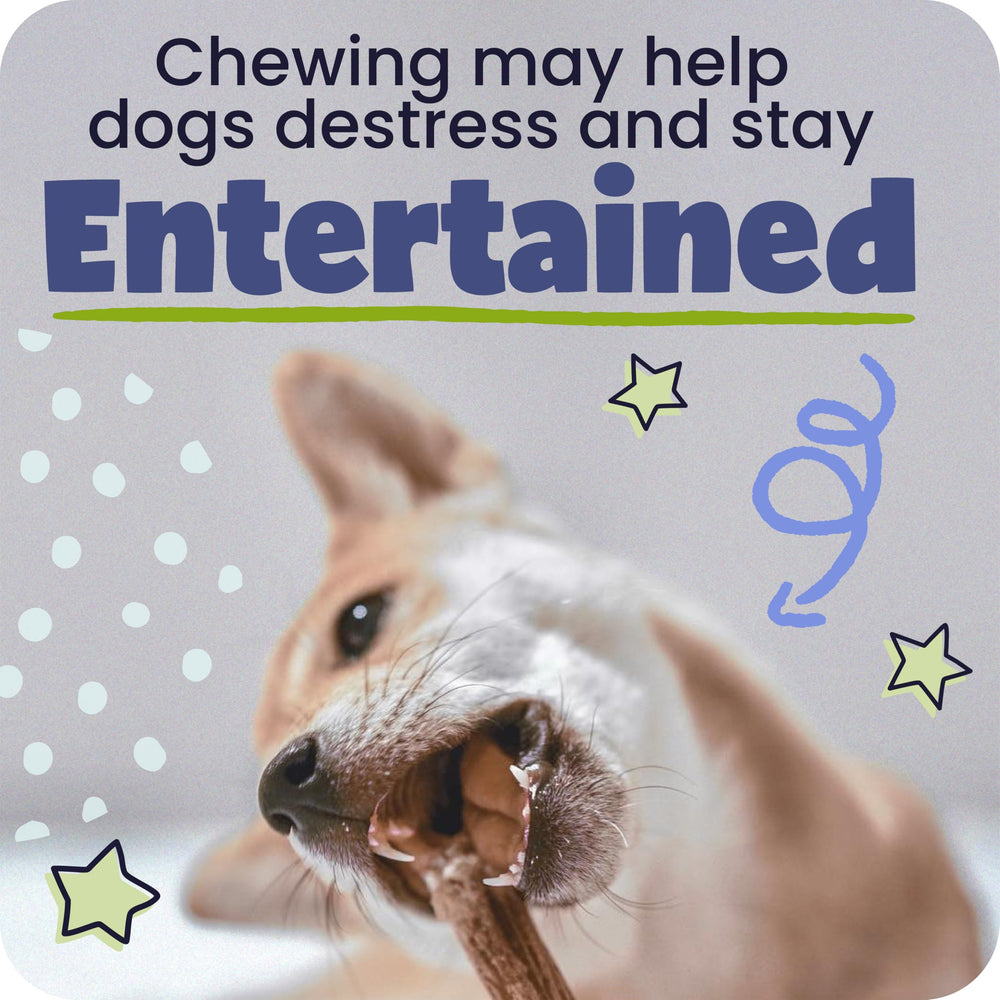 Pawstruck ingredient label showing 100% real beef pizzle clarity