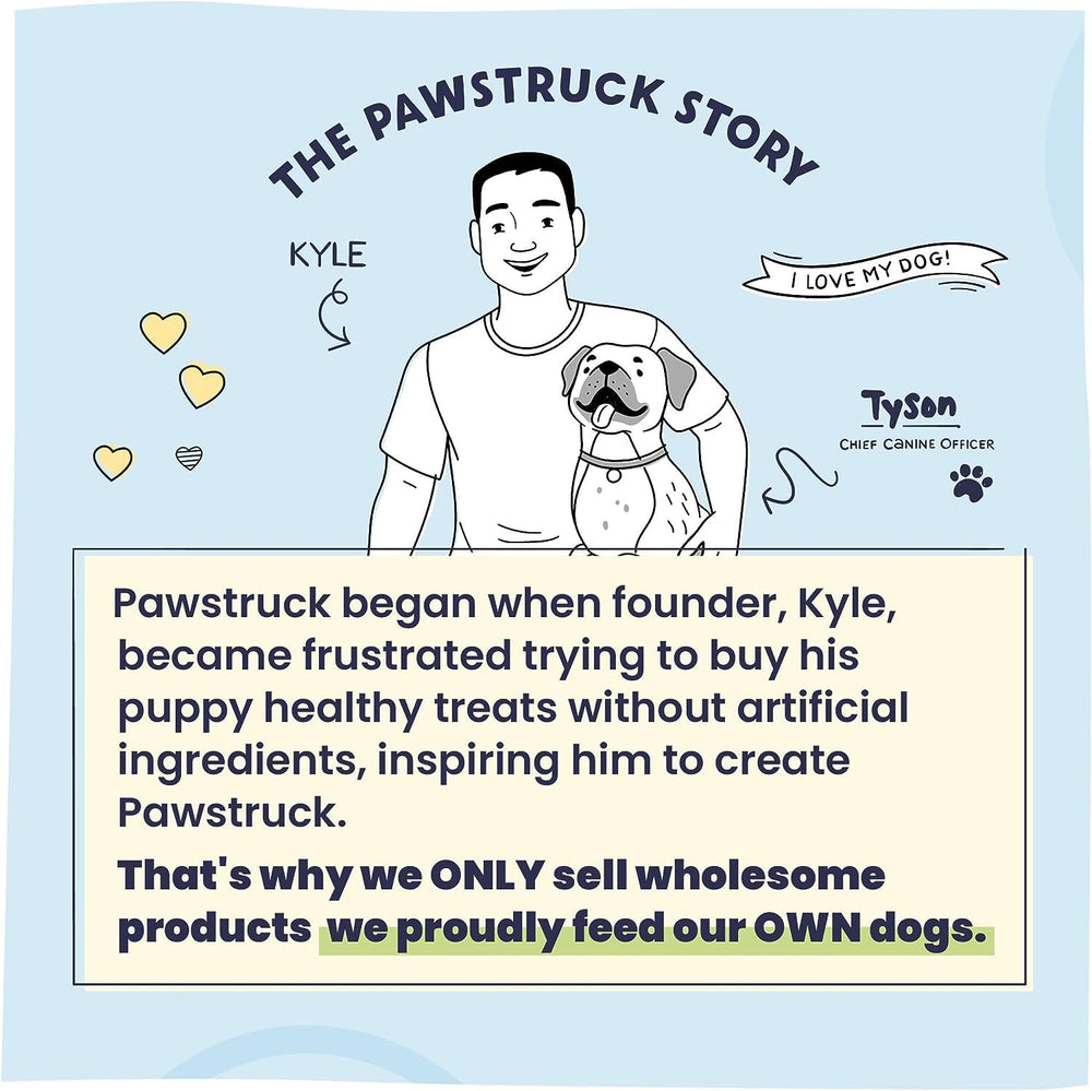 Owner giving Pawstruck chew outdoors showing happy dog activity