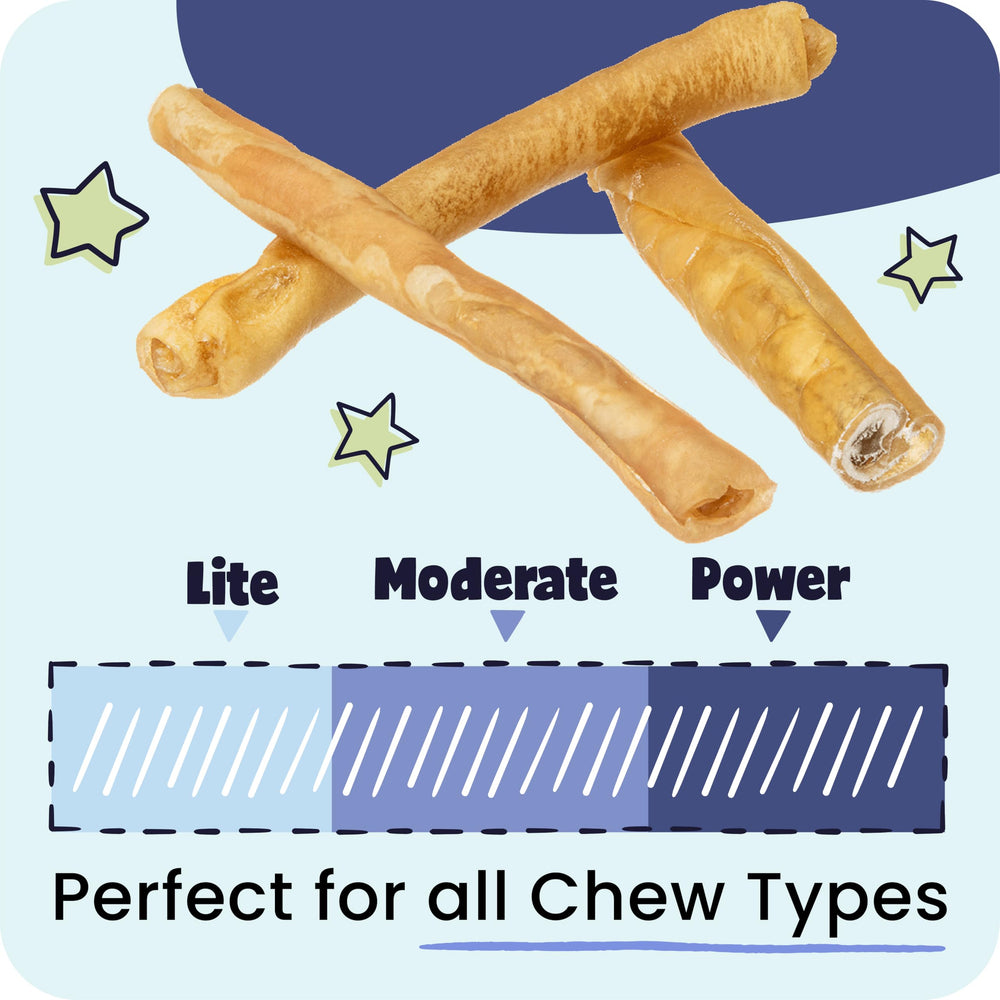 Pawstruck two dogs sharing sticks demonstrating suitability for multi-dog homes