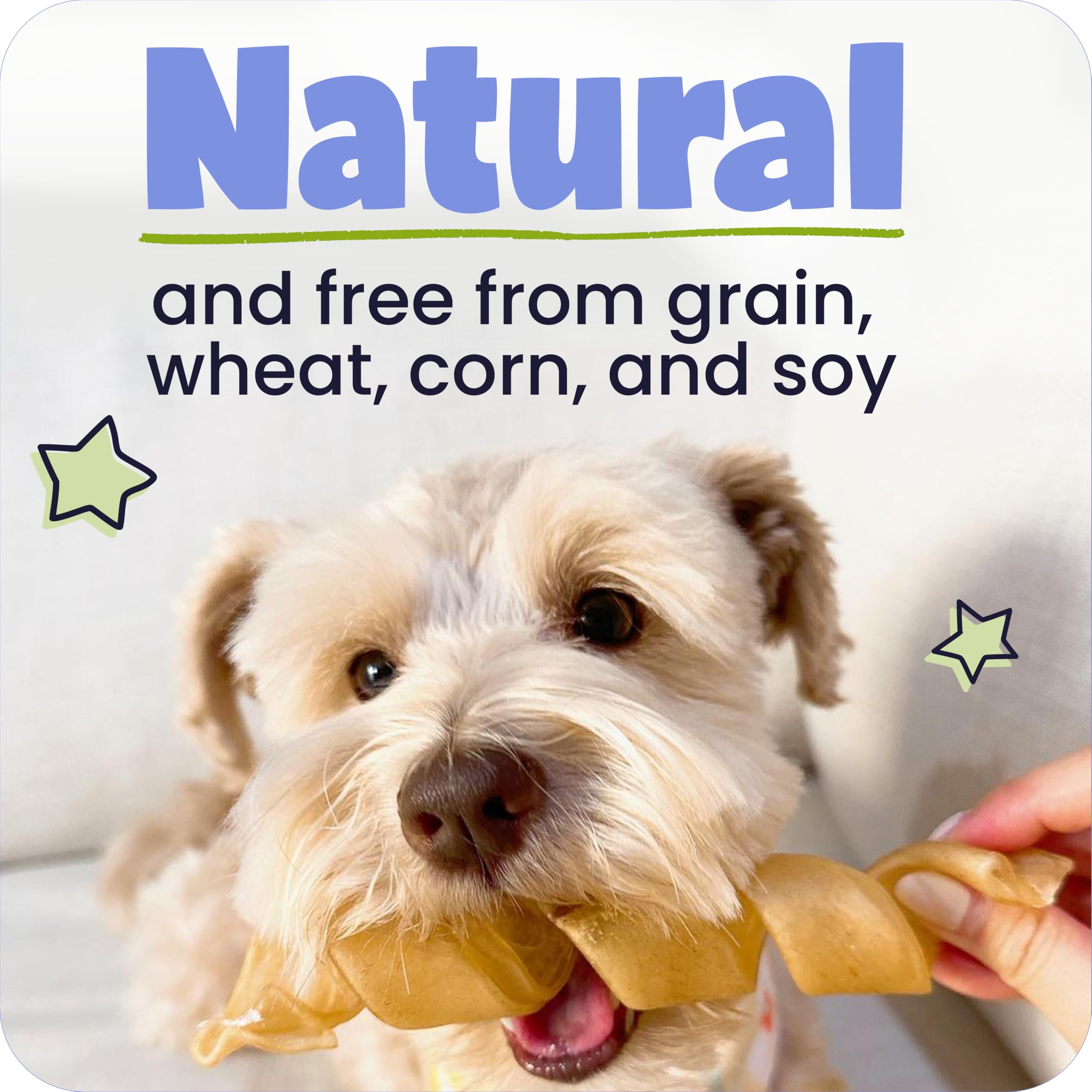 Pawstruck single 12-inch beef collagen stick highlighting durable chew
