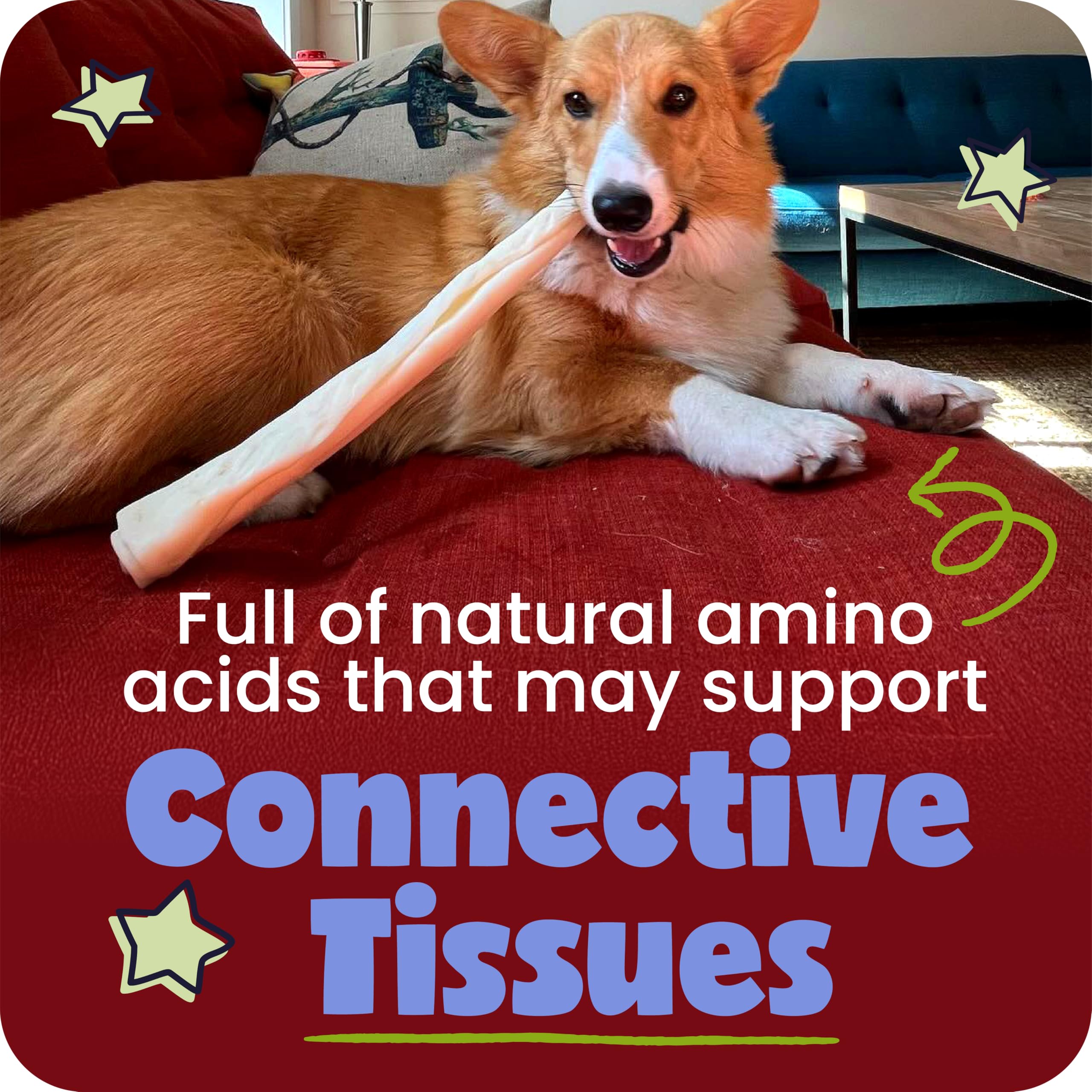 Pawstruck collagen stick beside ruler illustrating true 12-inch size