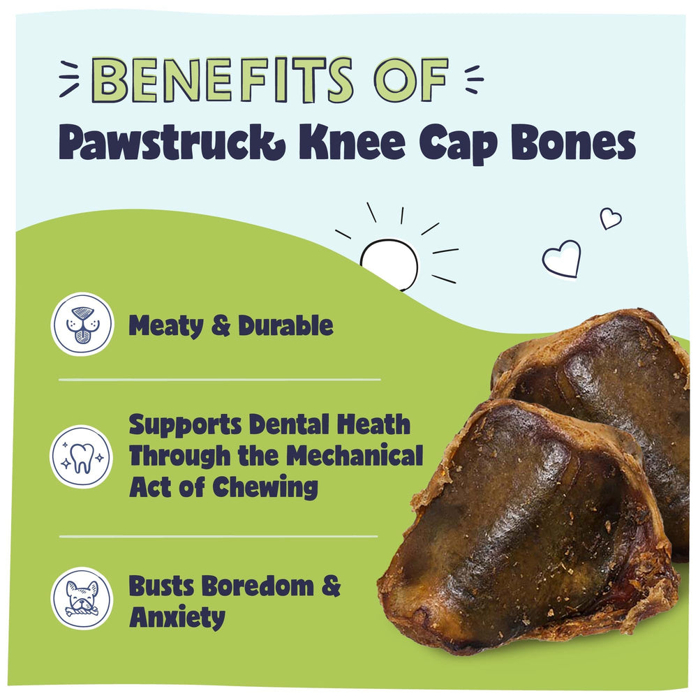 Pawstruck primer plano textura de rótula para masticación prolongada