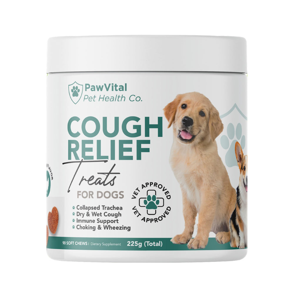PawVital empaque frontal mostrando presentación y beneficio para la tos