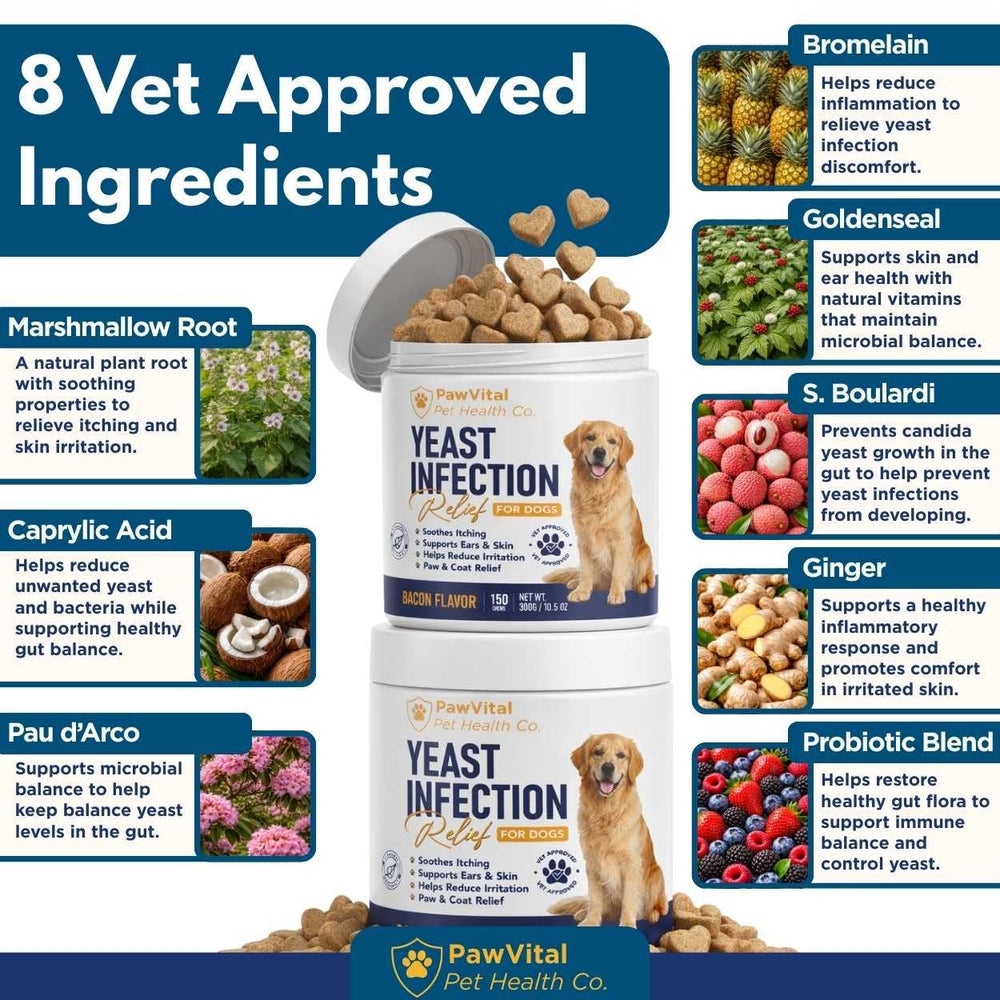 PawVital ingredientes naturales como zanahoria y remolacha usados para respaldo natural
