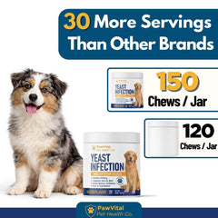 PawVital masticable en mano para comparar tamaño y dosificación práctica